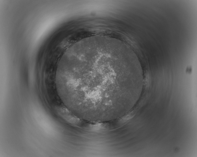 X0000113550430200910021535