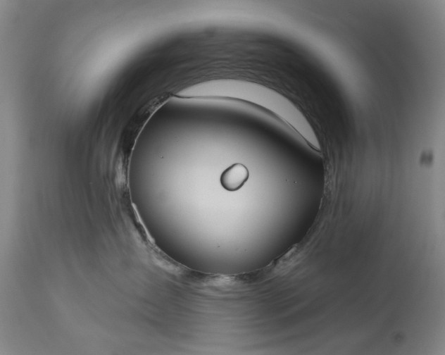 X0000113550431200910021535