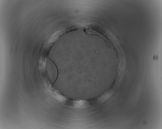 X0000113550432200910021535