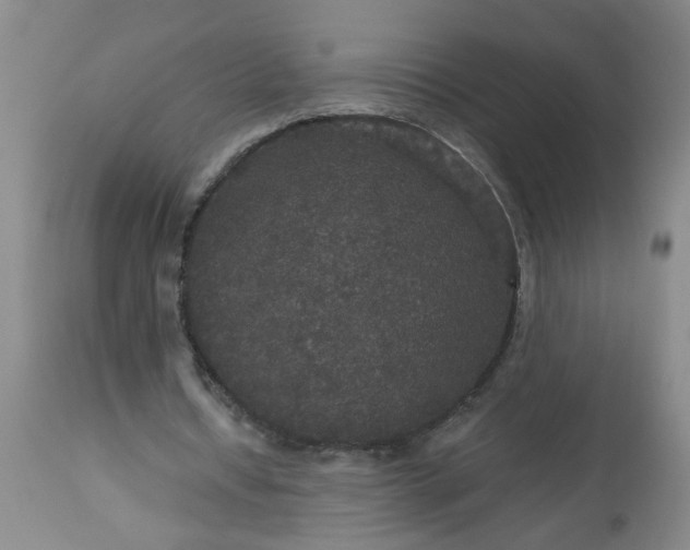 X0000113550434200910021534