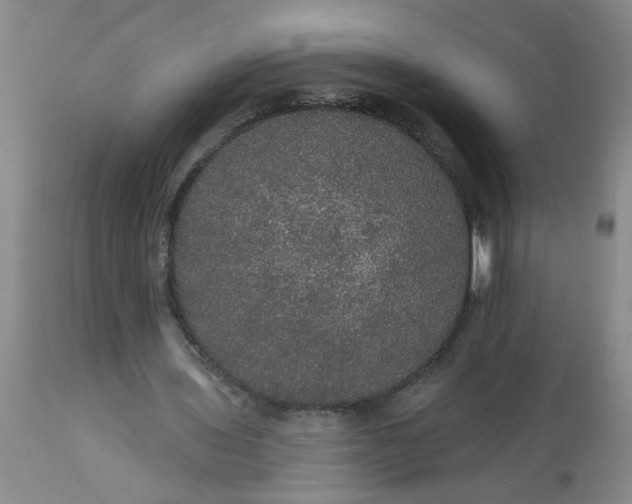 X0000113550435200910021534