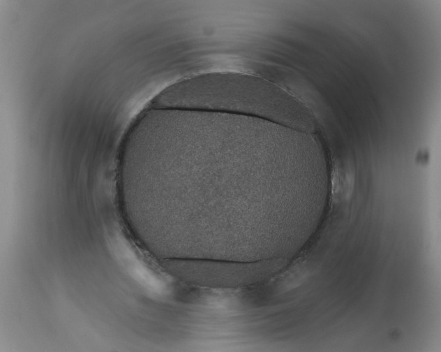 X0000113550436200910021534