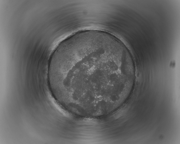 X0000113550437200910021534