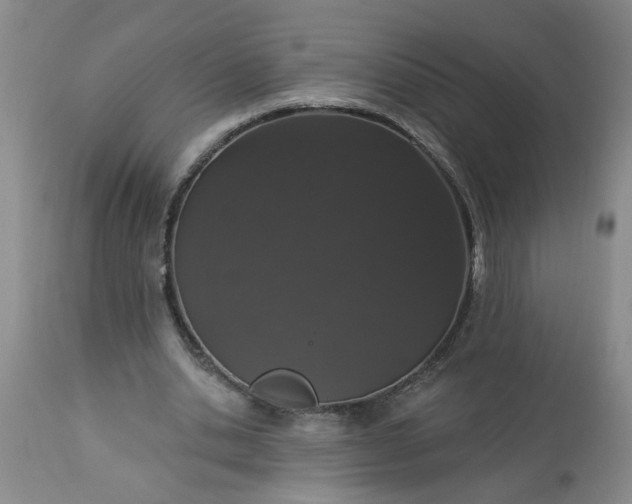 X0000113550438200910021534