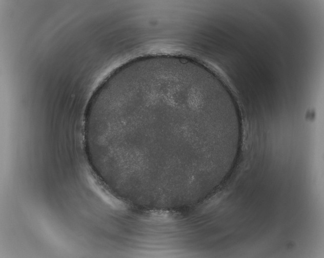 X0000113550439200910021534