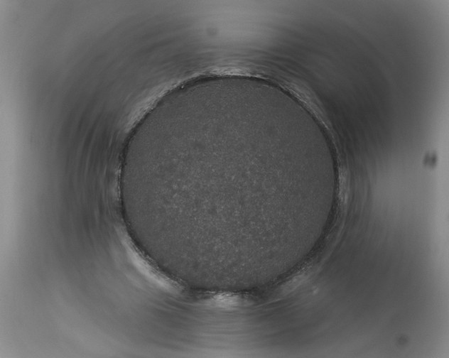 X0000113550441200910021534