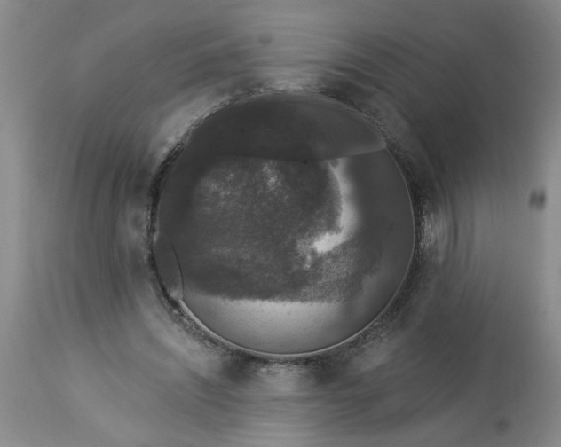 X0000113550444200910021534