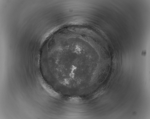 X0000113550446200910021534