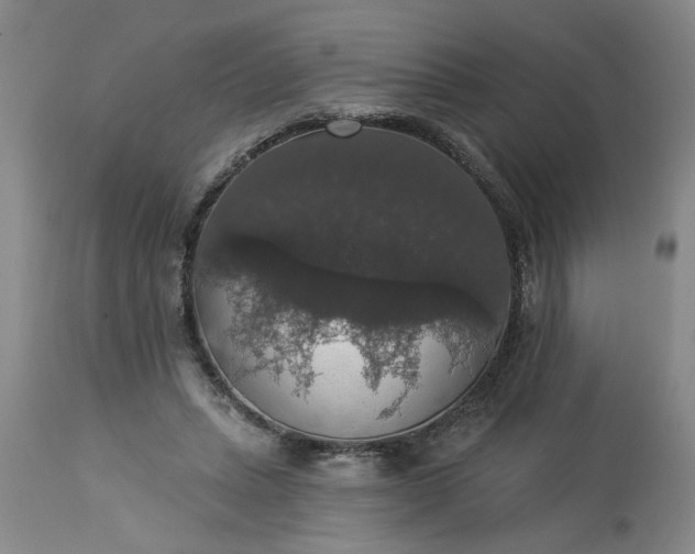 X0000113550447200910021534