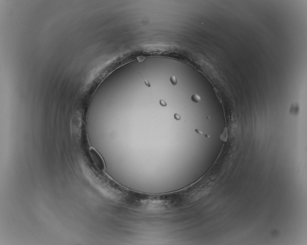 X0000113550448200910021534