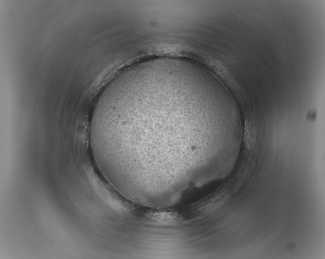 X0000113550449200910021534