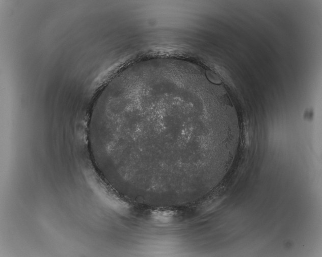 X0000113550450200910021534