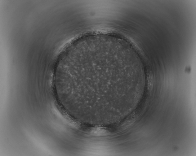 X0000113550451200910021534