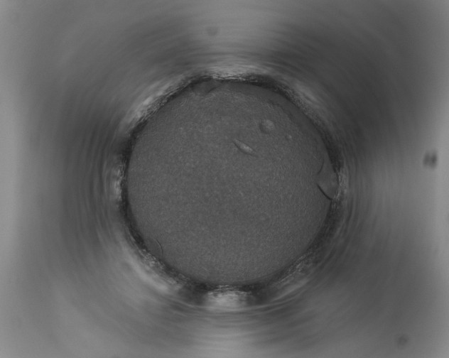 X0000113550452200910021534