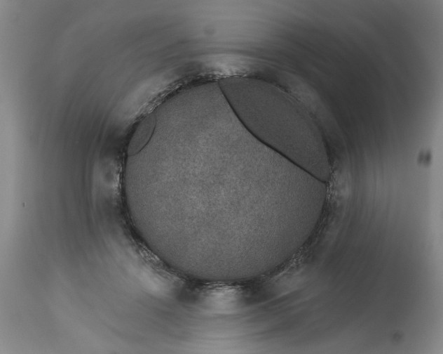 X0000113550456200910021534