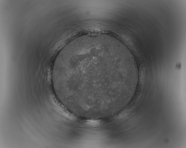 X0000113550457200910021534