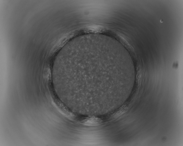 X0000113550459200910021534