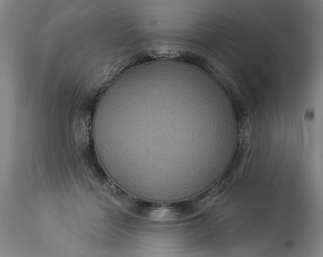 X0000113550460200910021534