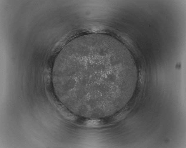 X0000113550461200910021534