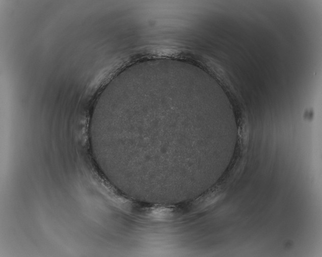 X0000113550462200910021534