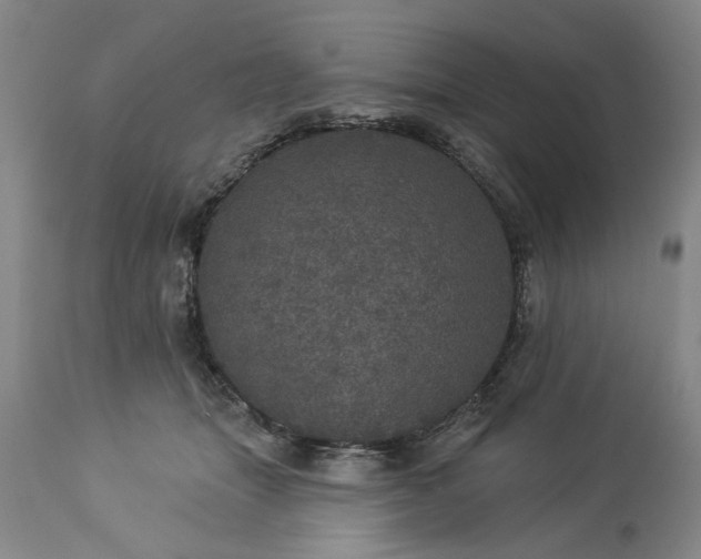 X0000113550463200910021534