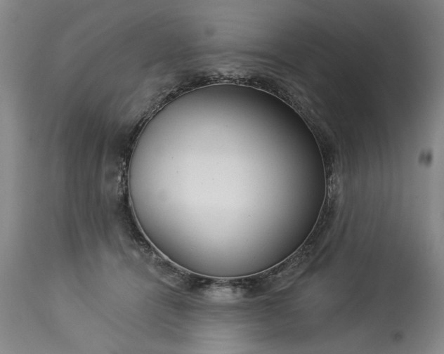 X0000113550464200910021534