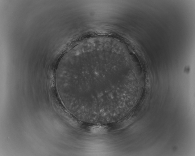 X0000113550465200910021534