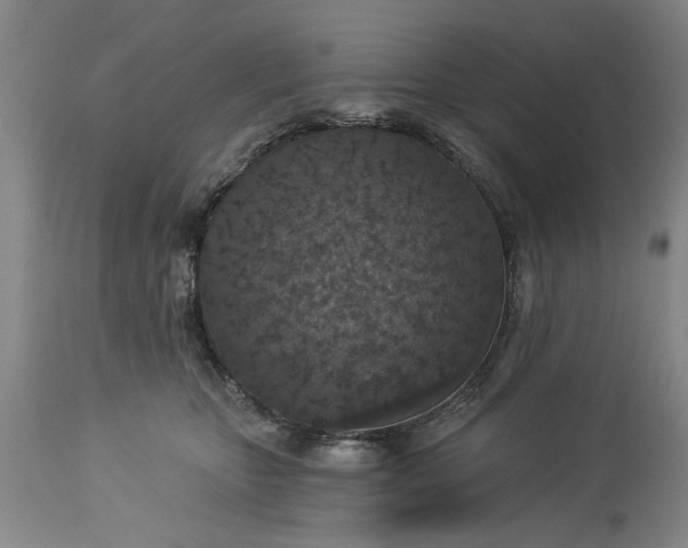 X0000113550467200910021534