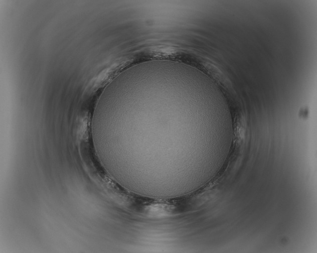 X0000113550468200910021534