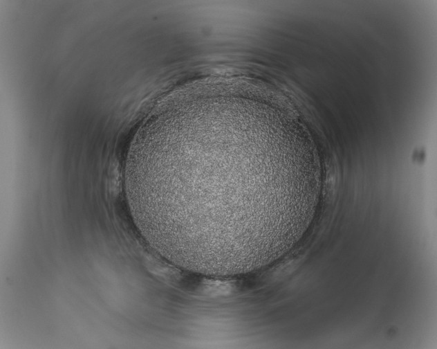 X0000113550469200910021534