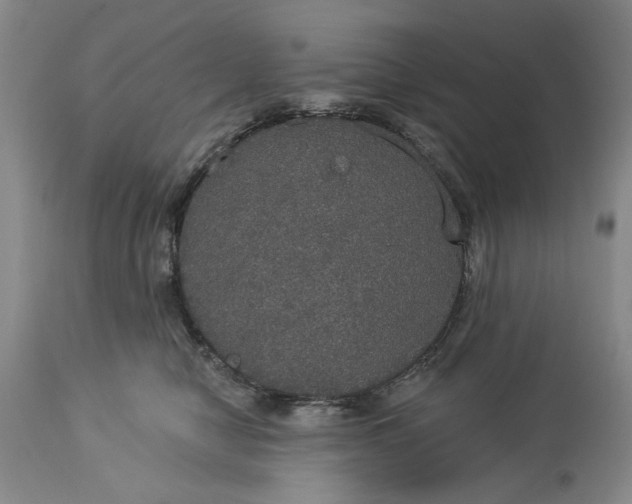 X0000113550470200910021534