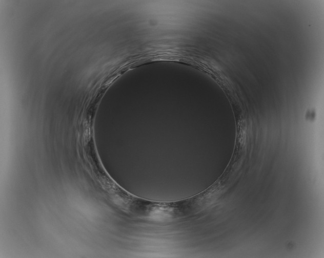 X0000113550471200910021534