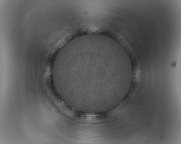 X0000113550472200910021534