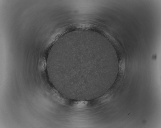 X0000113550474200910021535