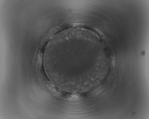 X0000113550475200910021535