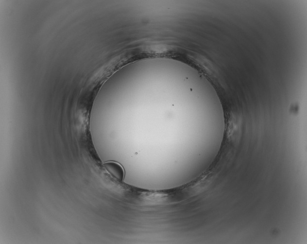 X0000113550476200910021535