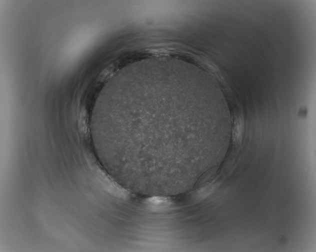 X0000113550477200910021535