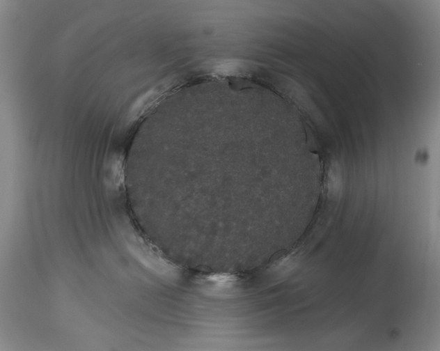 X0000113550478200910021535