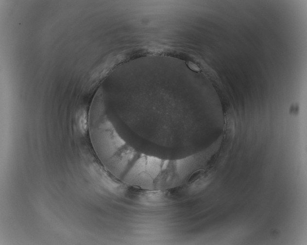 X0000113550479200910021535