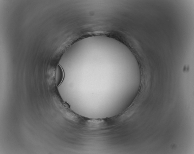 X0000113550480200910021535