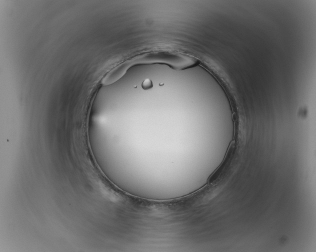 X0000113550481200910021534