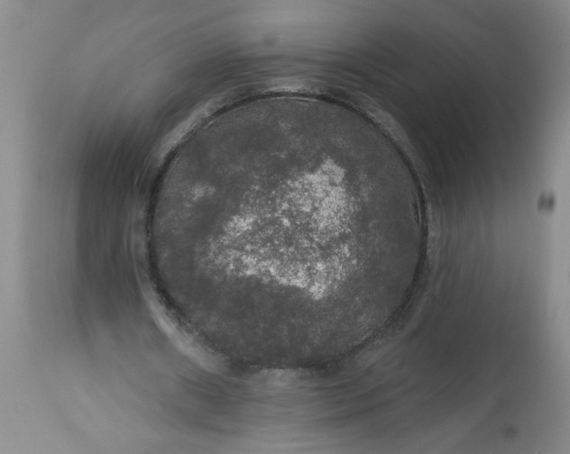 X0000113550482200910021534