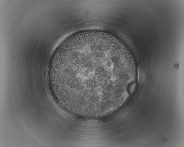 X0000113550483200910021534