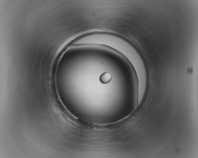 X0000113550484200910021534