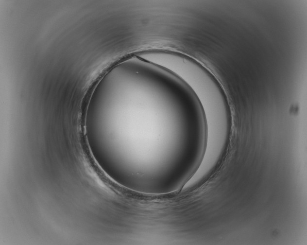 X0000113550485200910021534