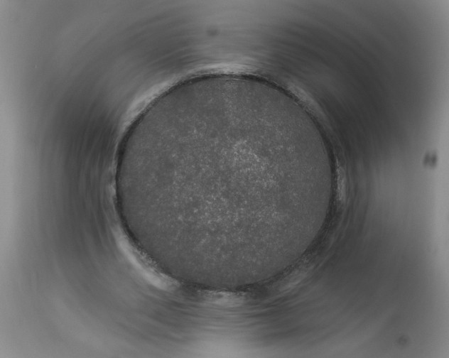 X0000113550486200910021534