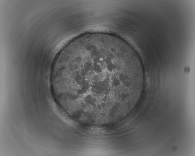 X0000113550487200910021534