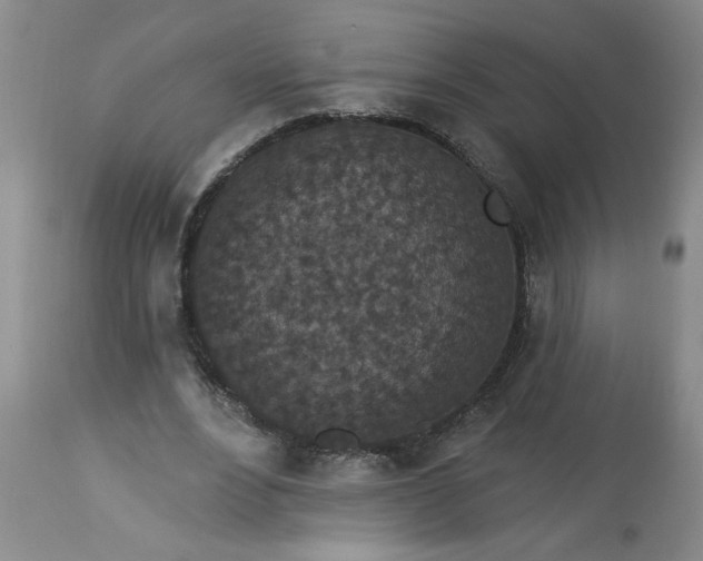 X0000113550488200910021534