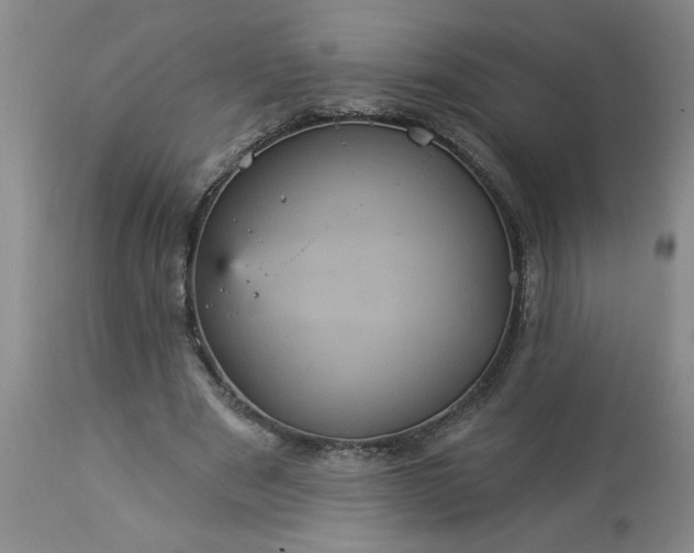 X0000113550489200910021534