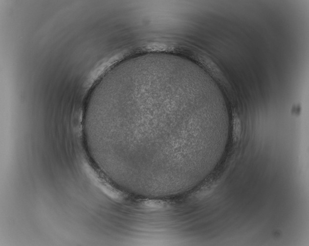 X0000113550490200910021534